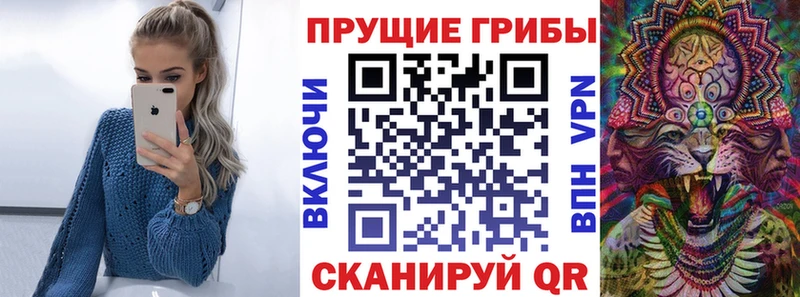 дарнет шоп  Большой Камень  Псилоцибиновые грибы ЛСД 